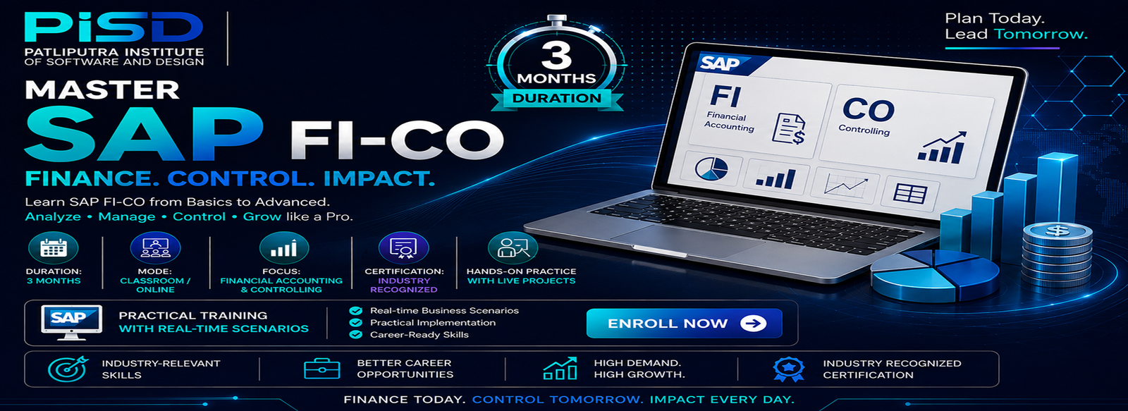 SAP FI-CO (Financial Accounting and Controlling)