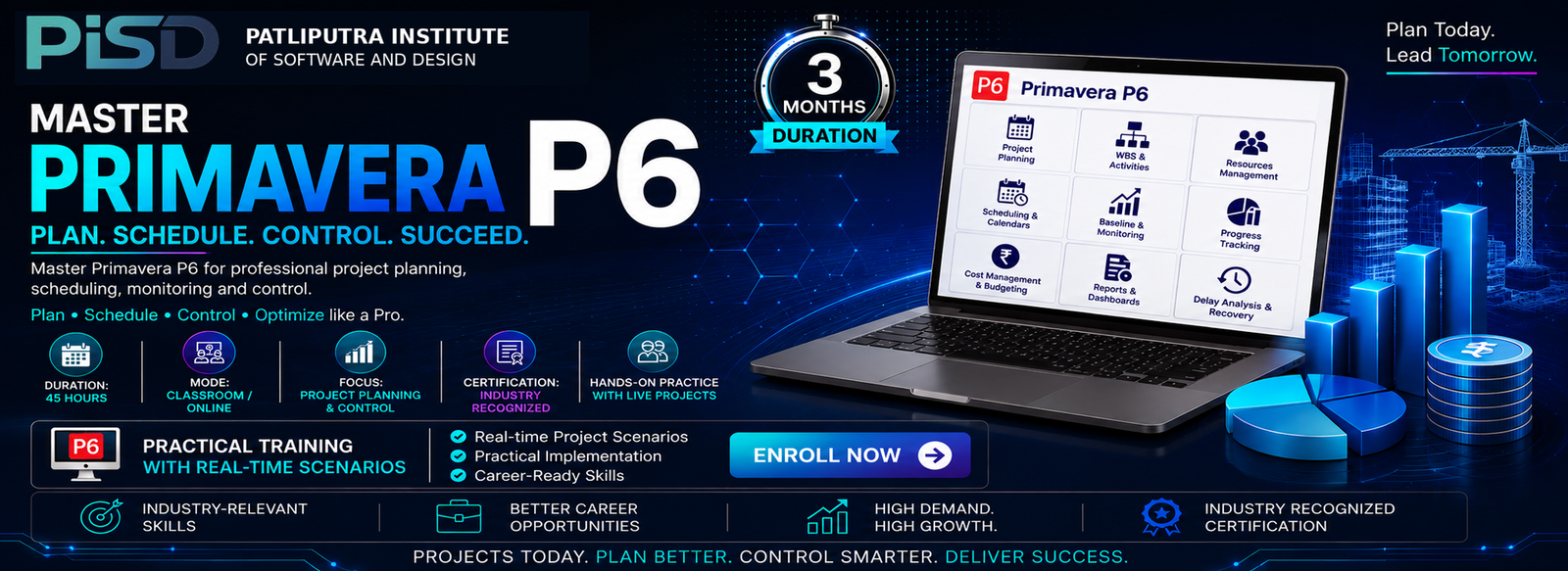 Primavera P6